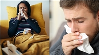 خرید قرص پانادول سرماخوردگی بسته سبز Panadol Cold+Flu